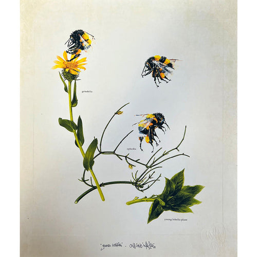 LOUIS 'MASAI' MICHEL - Young Lobelia - OPEN EDITION