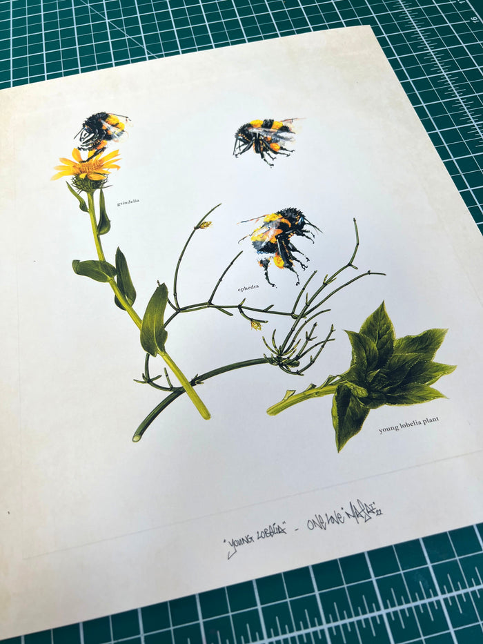 LOUIS 'MASAI' MICHEL - Young Lobelia - OPEN EDITION