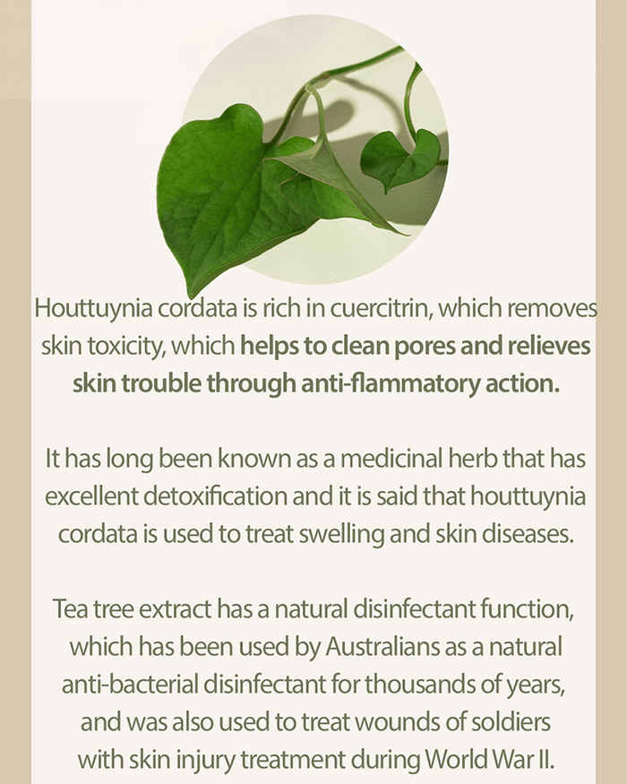 Mary&May Houttuynia Cordata + Tea Tree Serum