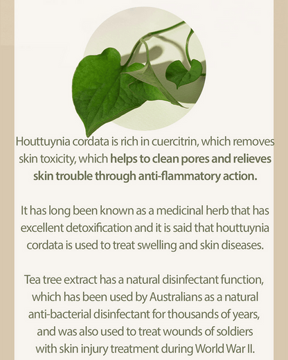 Mary&May Houttuynia Cordata + Tea Tree Serum