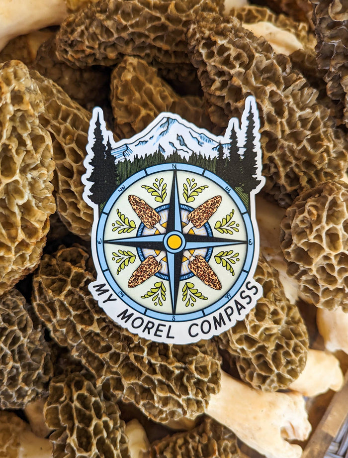 My Morel Compass Sticker