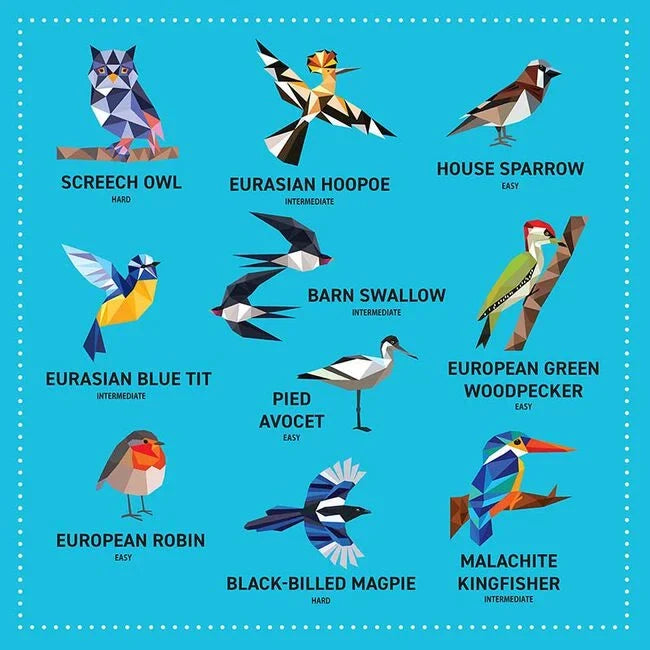 My Sticker Paintings Birds -  Sticker Activity Book