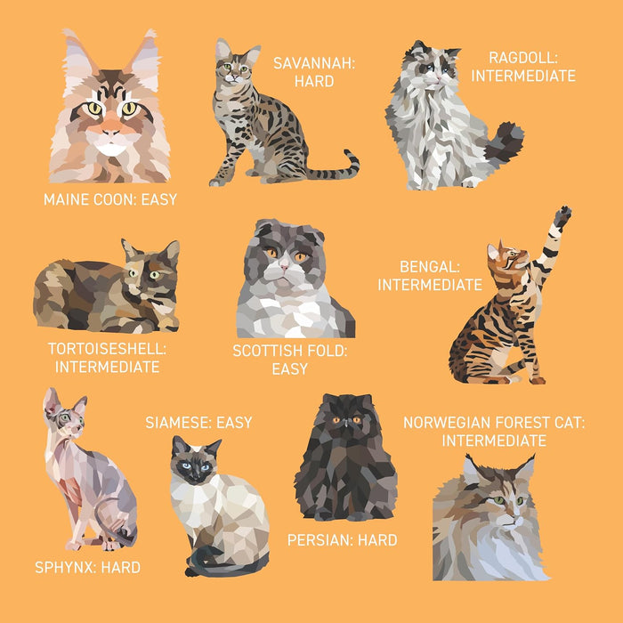 My Sticker Paintings Cats -  Sticker Activity Book