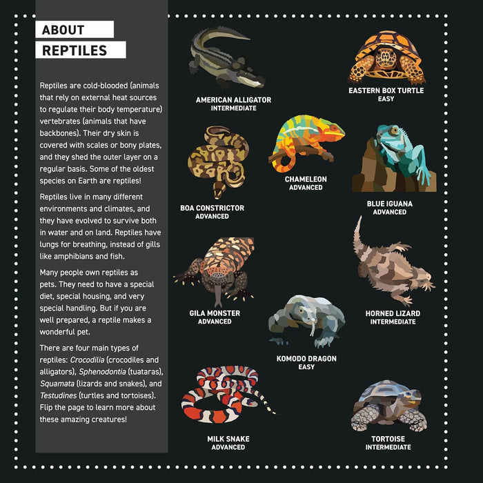 My Sticker Paintings Reptiles -  Sticker Activity Book