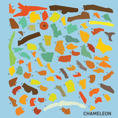 My Sticker Paintings Reptiles -  Sticker Activity Book