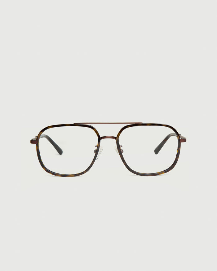Bronze Tort / Tort