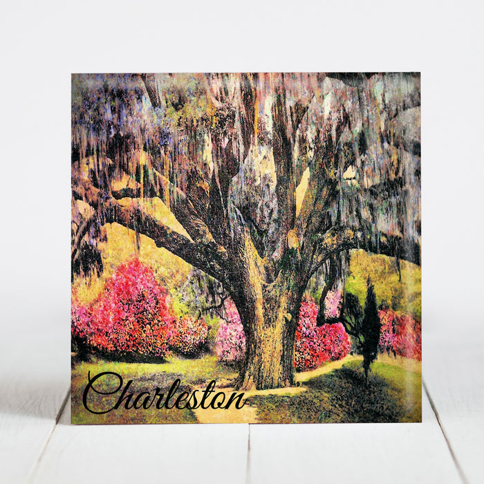 Old Oak Tree at Middleton Place and Gardens - Charleston, SC