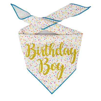Paisley Paw Designs - Confetti Birthday Bandana