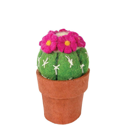 Pin Cushion Cactus Felt Plant