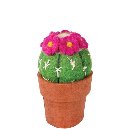 Pin Cushion Cactus Felt Plant