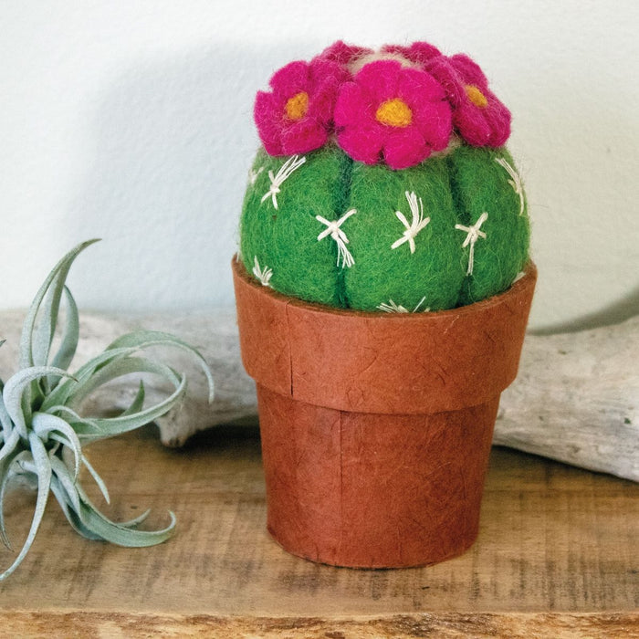 Pin Cushion Cactus Felt Plant