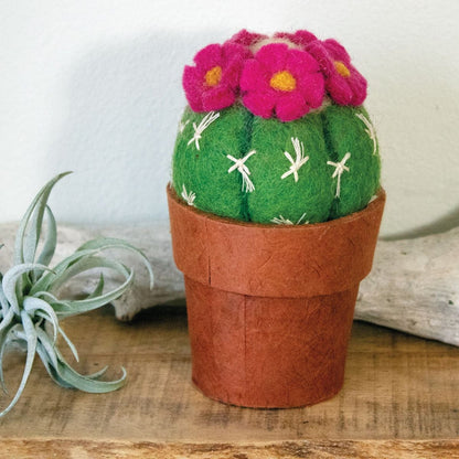 Pin Cushion Cactus Felt Plant