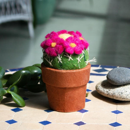 Pin Cushion Cactus Felt Plant