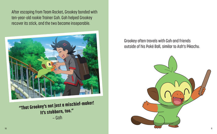 Pokemon: Trainer's Mini Exploration Guide to Galar