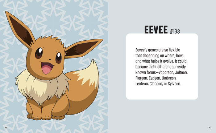 Pokemon: Trainer's Mini Exploration Guide