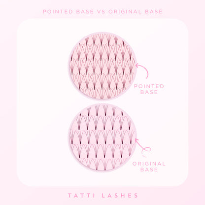 Pre-Russian Volume 4D Lash Tray