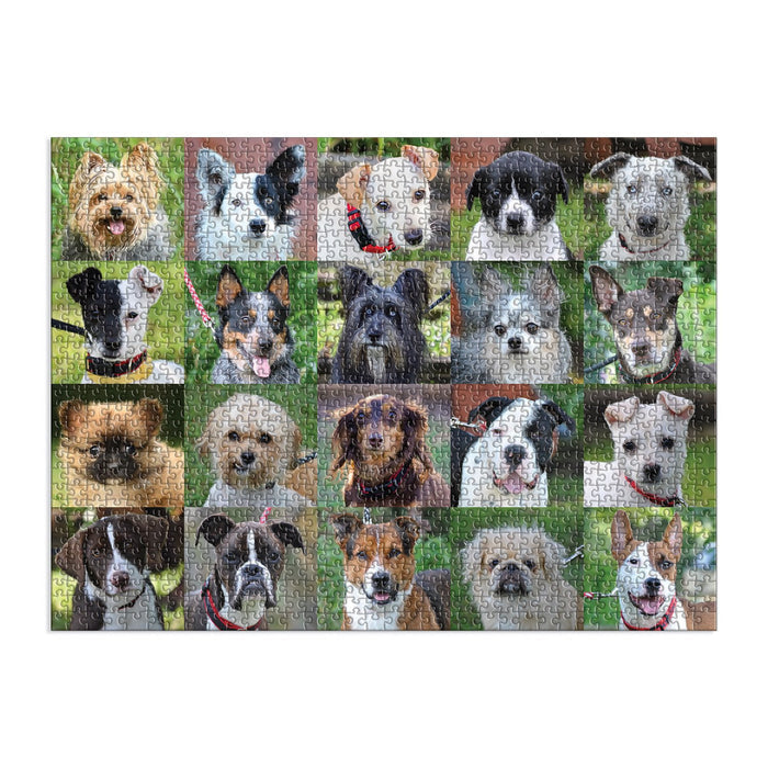 Rescue Dogs 1000 Piece Puzzle 1000 Piece Puzzles Danny & Ron's Rescue