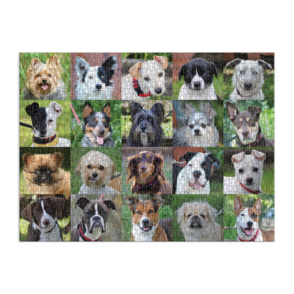 Rescue Dogs 1000 Piece Puzzle 1000 Piece Puzzles Danny & Ron's Rescue