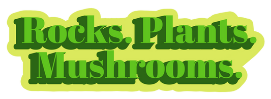 Rocks. Plants. Mushrooms. Sticker