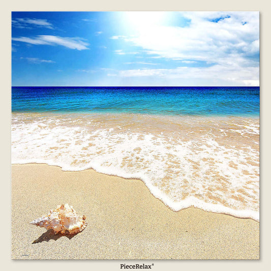 Hold a shell close, and the ocean speaks — do you hear its gentle song?