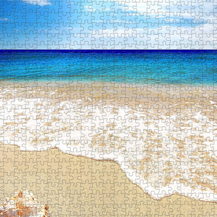 Hold a shell close, and the ocean speaks — do you hear its gentle song?