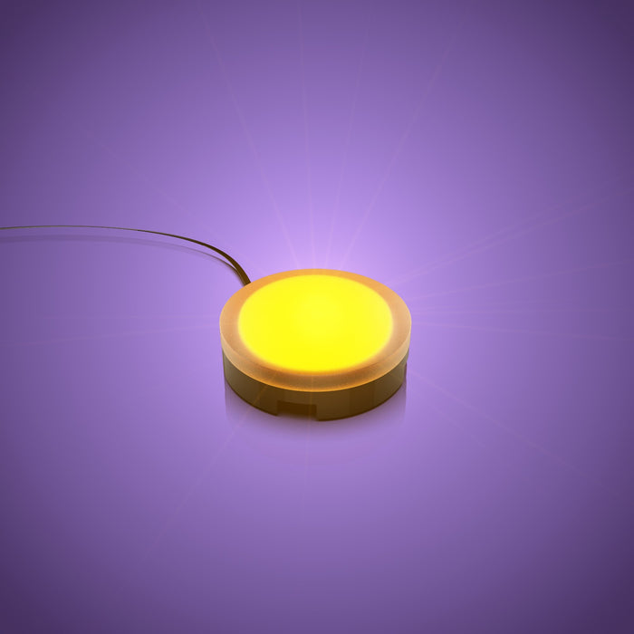 Solar Light - Orange 30cm (2 Pack)