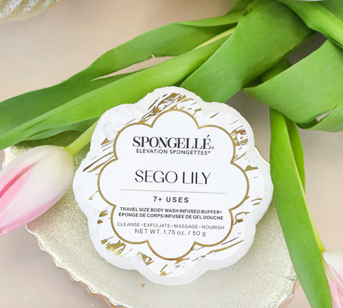 Spongellé - Sego Lily Elevation Spongette