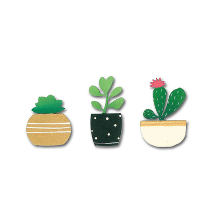 Succulent Magnets