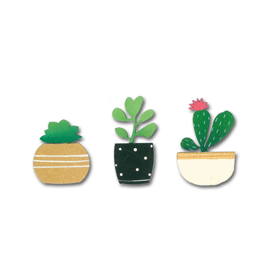 Succulent Magnets