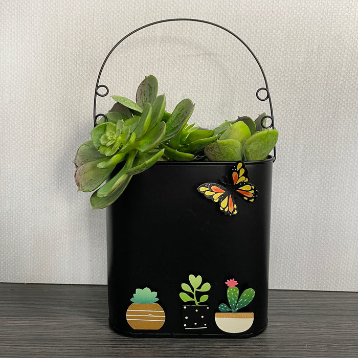 Succulent Magnets