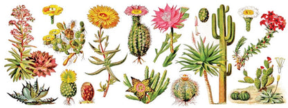 Succulents Mug Image 3