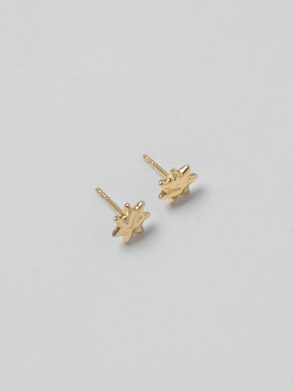 -Earrings-wolfcircus.com