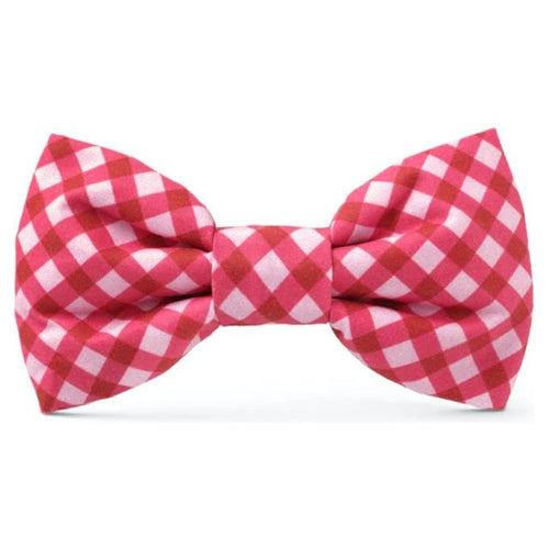 The Foggy Dog - Raspberry Gingham Bow Tie