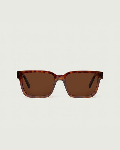 Deep Tort Polarized / Tort / Brown