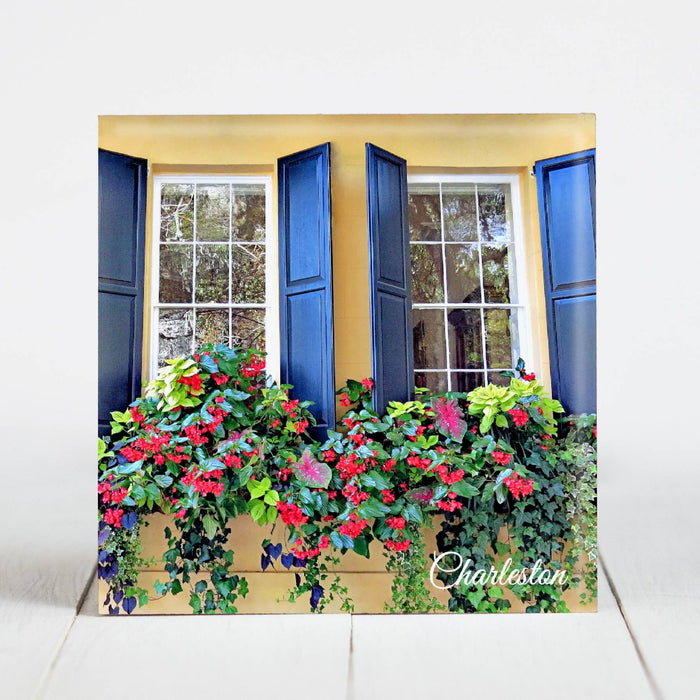 Window Box on Meeting Street, Charleston SC