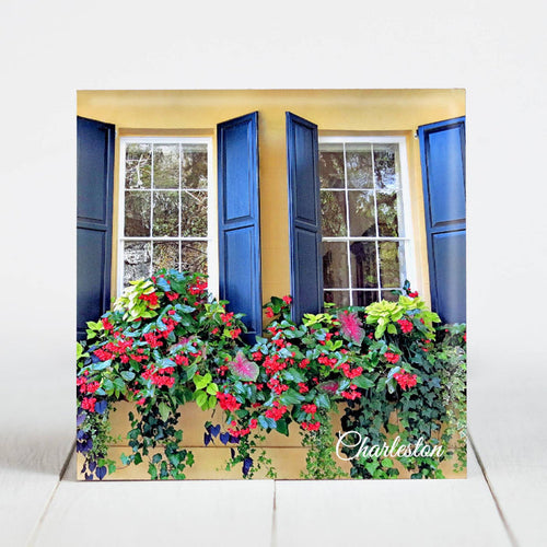 Window Box on Meeting Street, Charleston SC