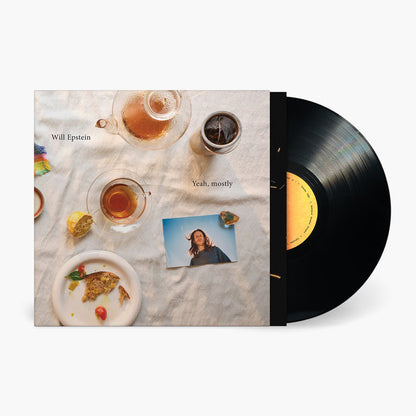 Will Epstein - Yeah, mostly Vinyl & Merch | Fat Possum Records