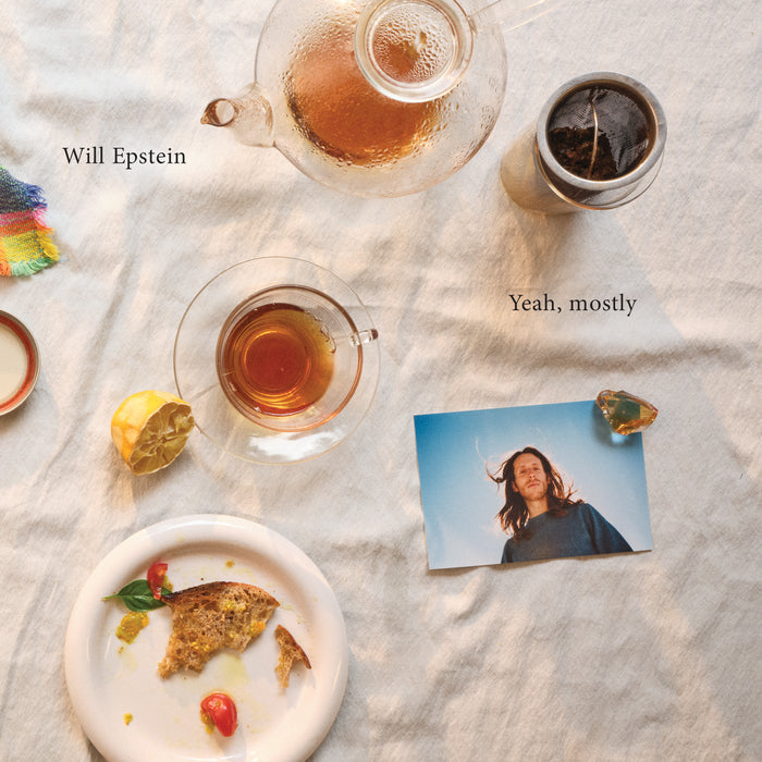 Fat Possum - Yeah Mostly Vinyl & Merch | Fat Possum Records
